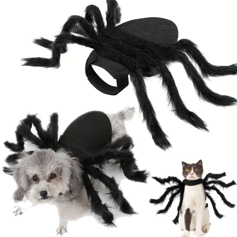 Spider Dog Costume – Creepy Crawly Halloween Outfit 🕷️
