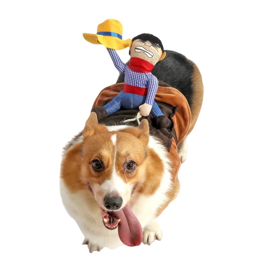 Cowboy Rider Pet Costume