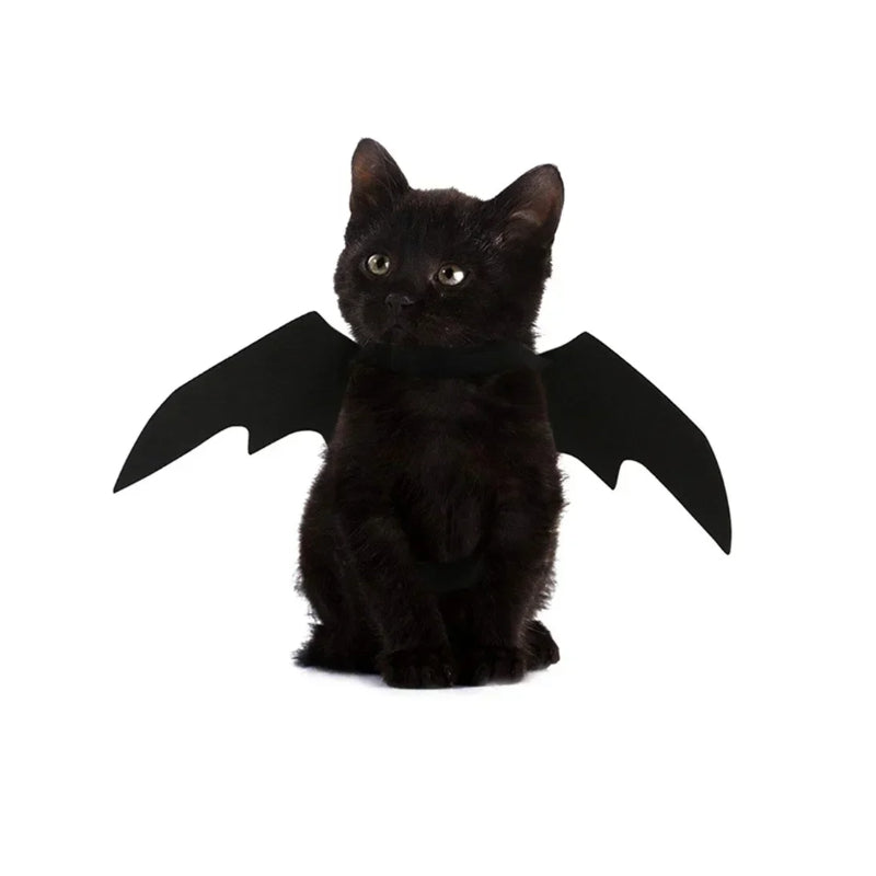 Bat Wings Dog Costume – Spooky Flying Pup Outfit 🦇