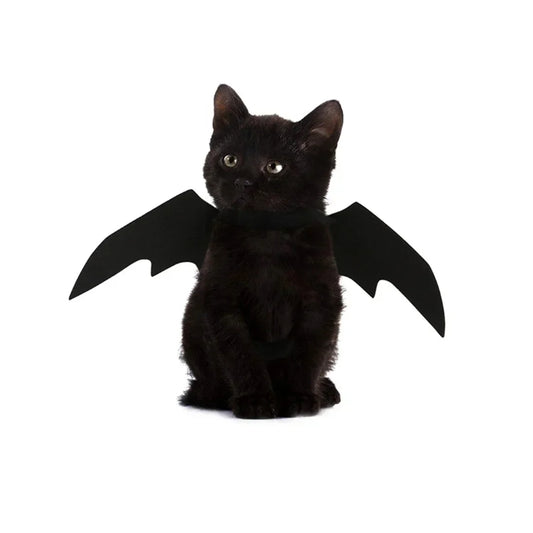 Bat Wings Dog Costume – Spooky Flying Pup Outfit 🦇