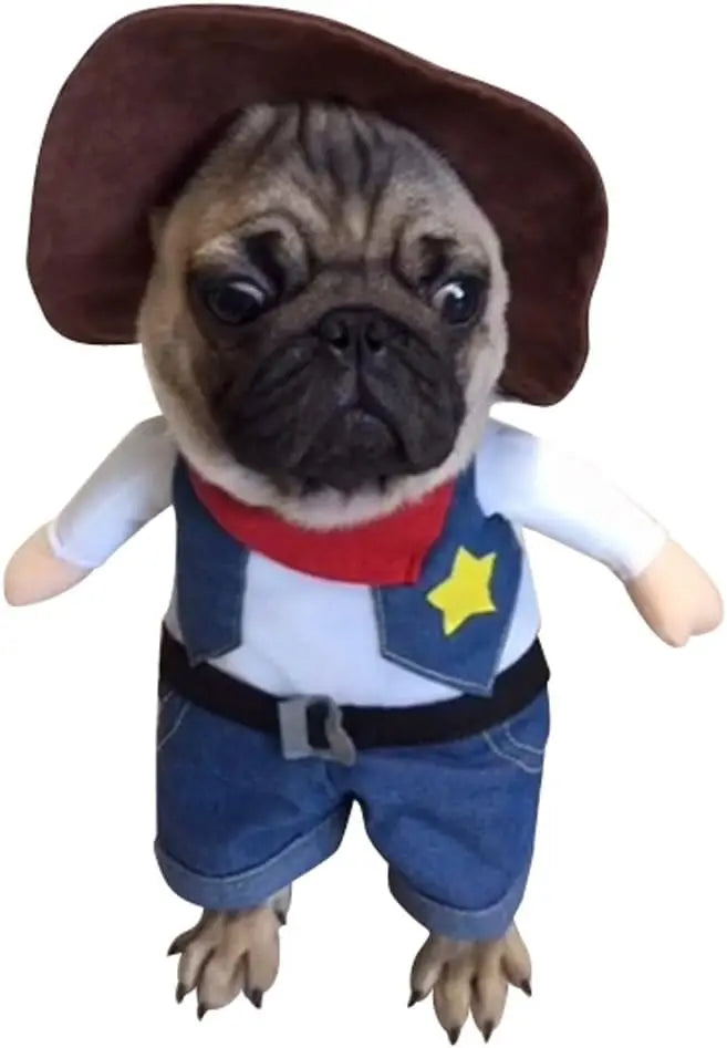 Sheriff Rider Pet Costume