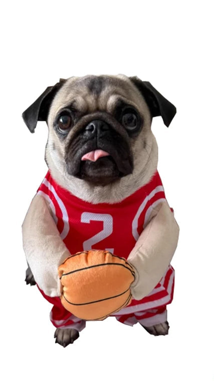 Hoops Hero Costume