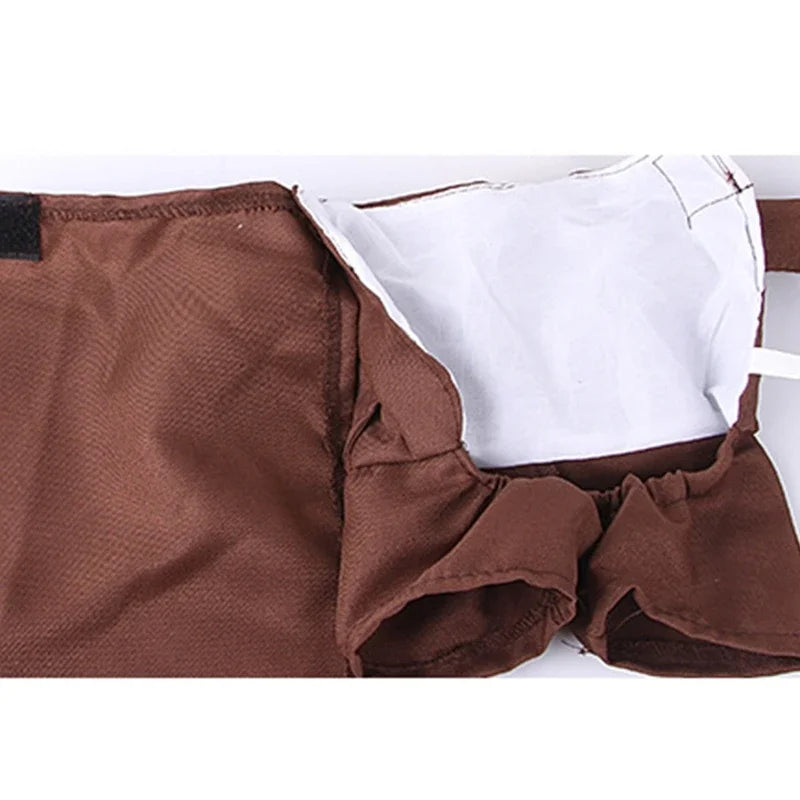 Pup Parcel Delivery Costume