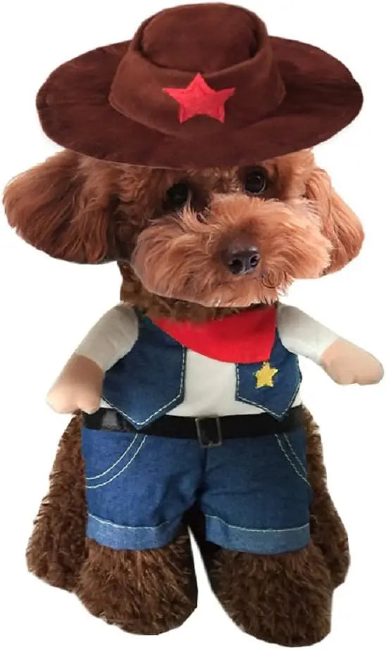 Sheriff Rider Pet Costume