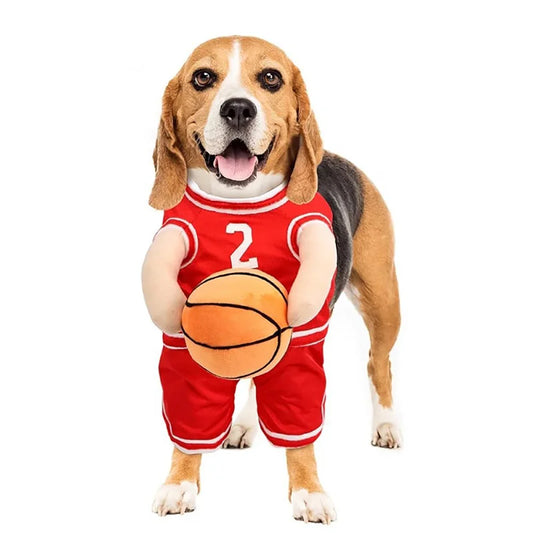 Basketball Dog Costume – Slam Dunk Sports Fan Outfit 🏀