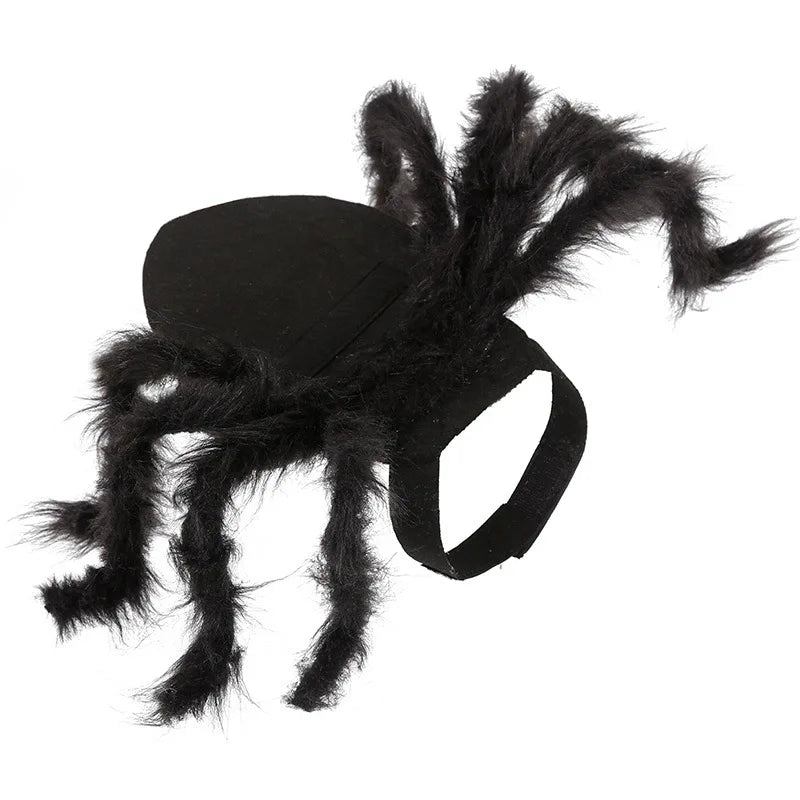 Spider Dog Costume – Creepy Crawly Halloween Outfit 🕷️