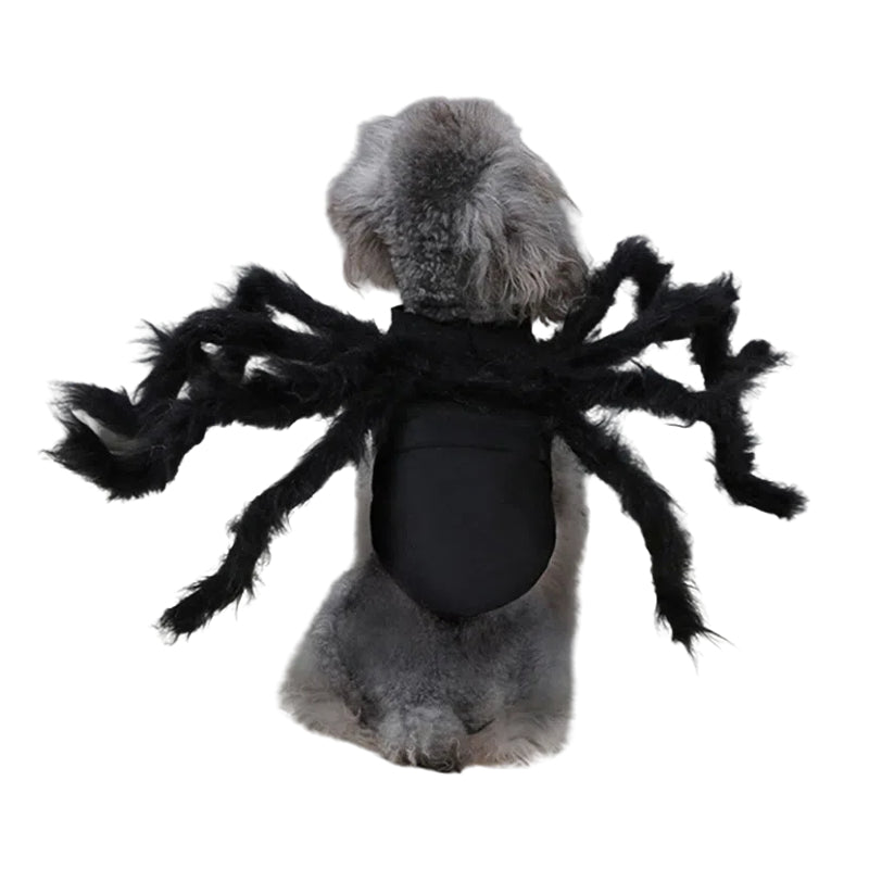 Spider Dog Costume – Creepy Crawly Halloween Outfit 🕷️