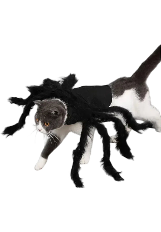 Spider Dog Costume – Creepy Crawly Halloween Outfit 🕷️